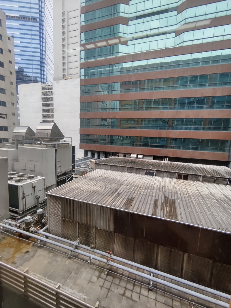 駱駝漆大廈第1座