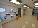 駱駝漆大廈第2座