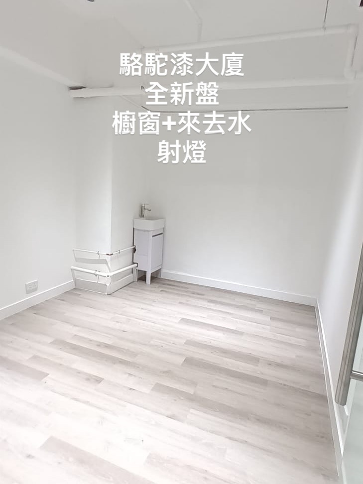 駱駝漆大廈(全新裝修 Studio)