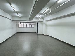 [00012331] 成業工業大廈(全新裝修 大大間 熱水爐)