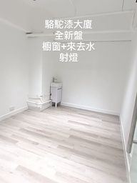 [00091348] 駱駝漆大廈(全新裝修 Studio)