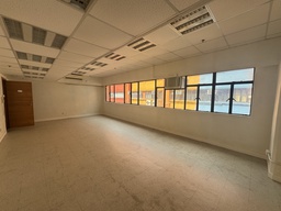 駱駝漆大廈(L窗 大大間)